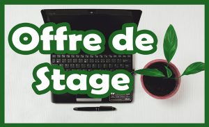 offre_de_stage MCE